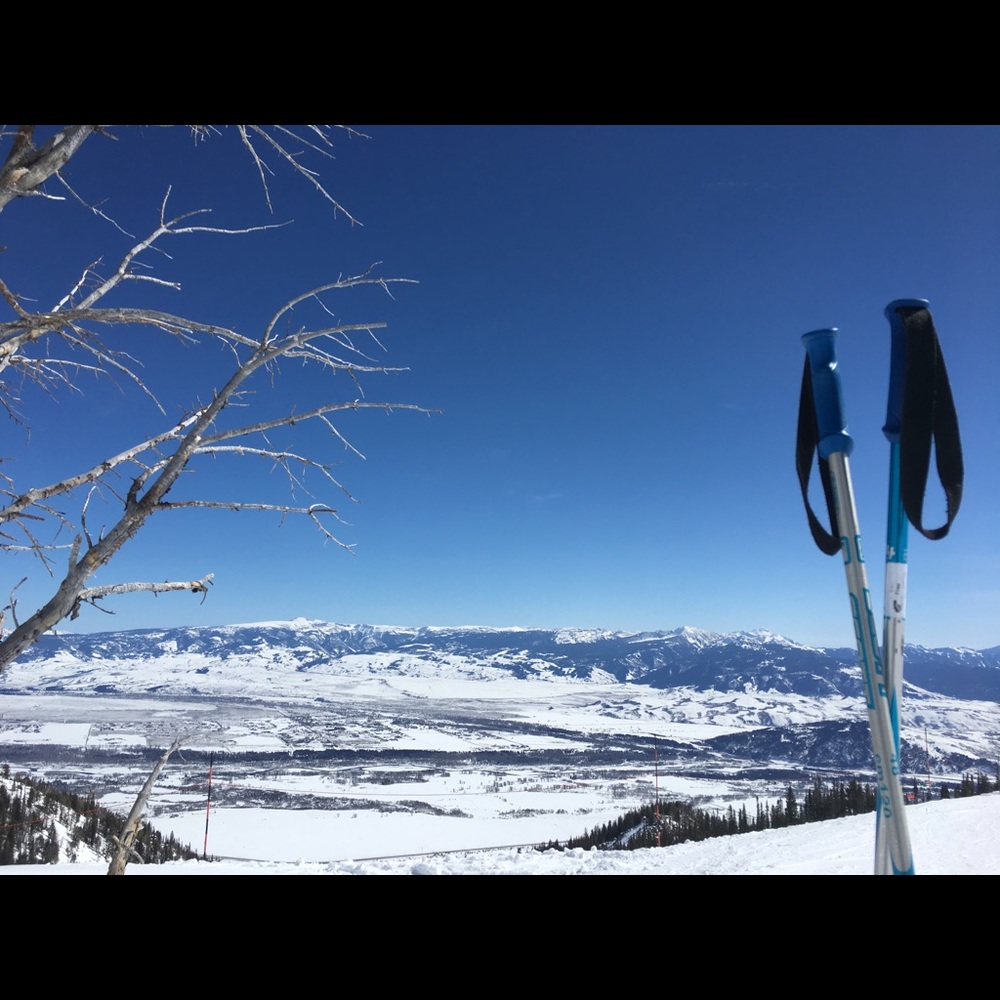 Meet your Posher, Addie